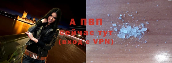 стафф Сафоново