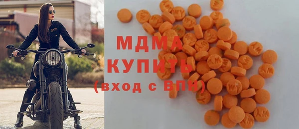 гашик Алексин