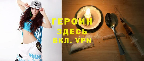гашик Алексин