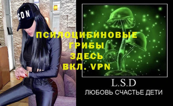ПСИЛОЦИБИНОВЫЕ ГРИБЫ Саяногорск