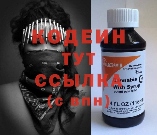 гашик Алексин