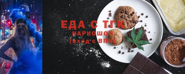 гашик Алексин