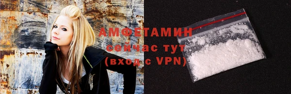 гашик Алексин