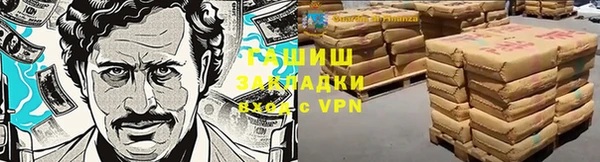 гашик Алексин
