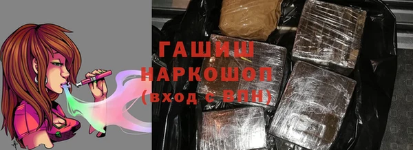 гашик Алексин