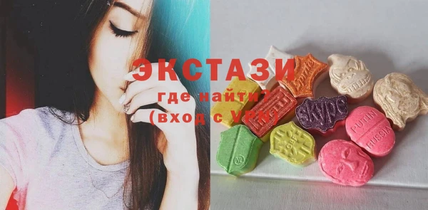 гашик Алексин