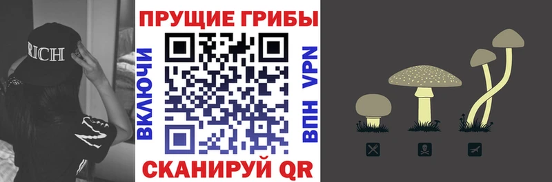 Галлюциногенные грибы MAGIC MUSHROOMS  закладка  Дедовск 